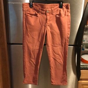 American Rag Crops 11